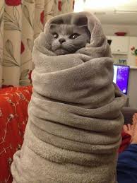 kittywrapped kittywrapped